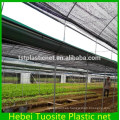 protective sun shade plants nursery net with UV